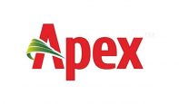 apex offer and discount